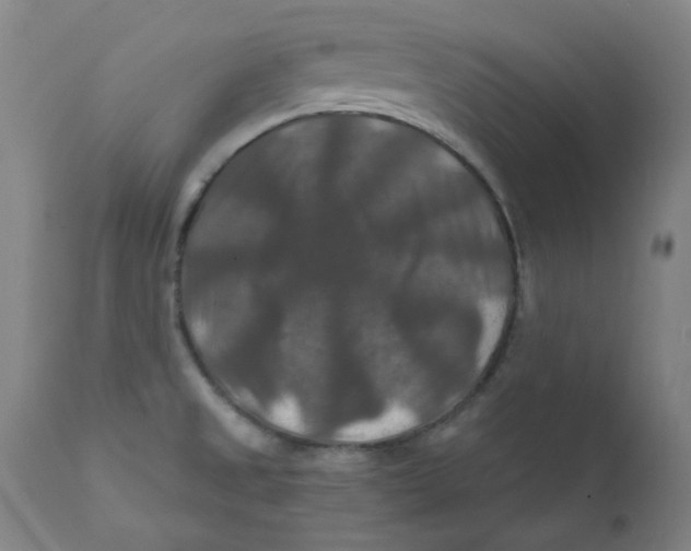 X0000112201525200909041305