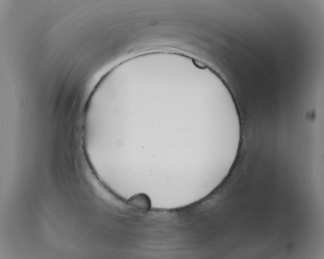 X0000112201526200909041305