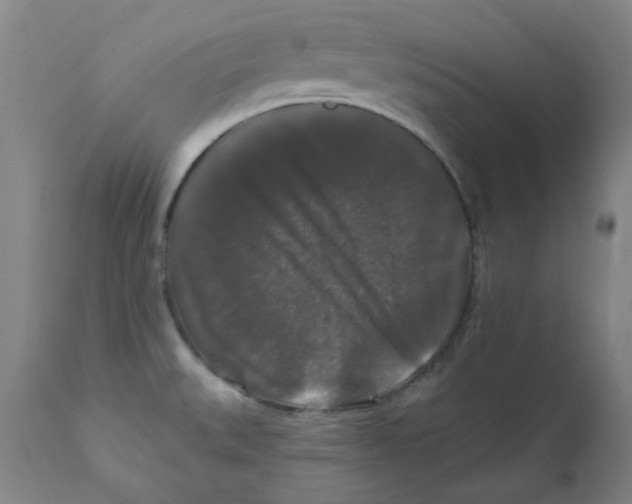 X0000112201527200909041305
