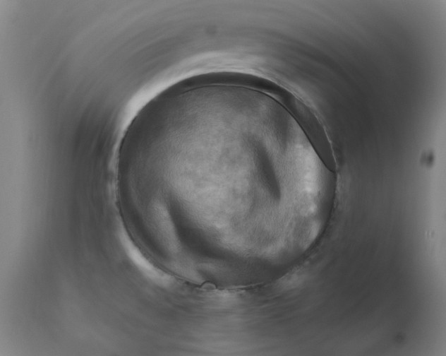 X0000112201528200909041305