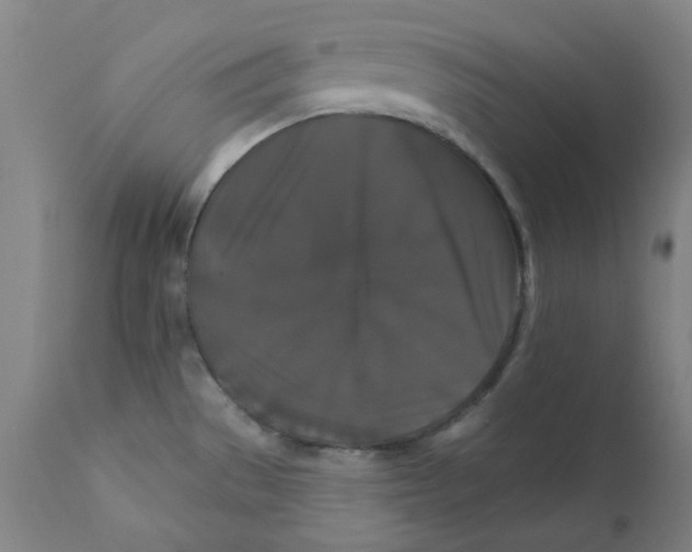 X0000112201529200909041305