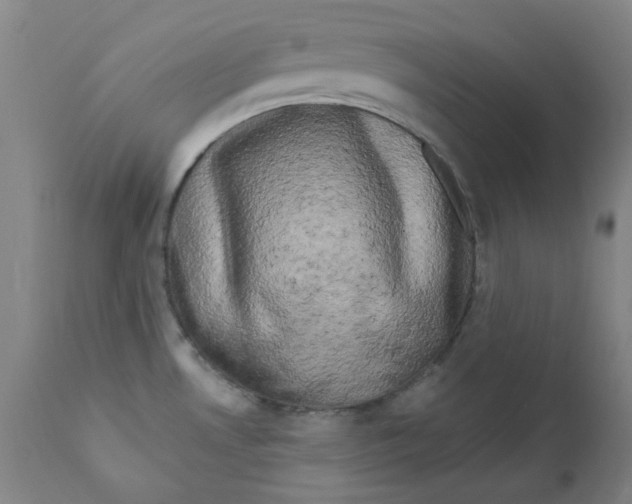 X0000112201530200909041305
