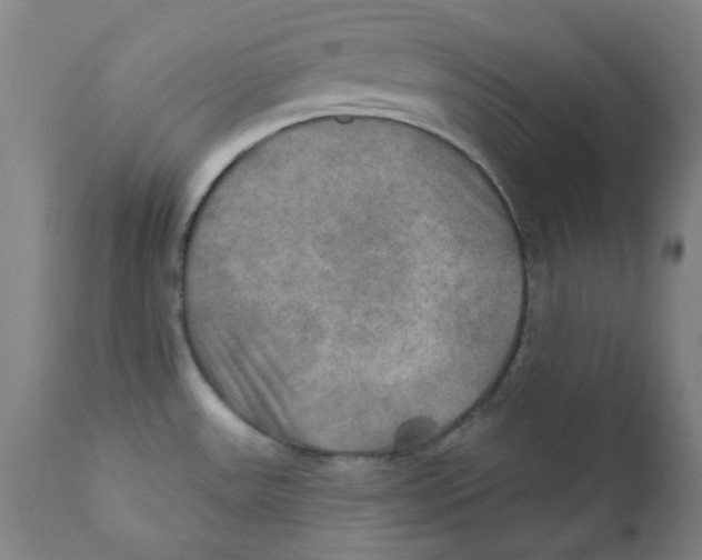 X0000112201531200909041305