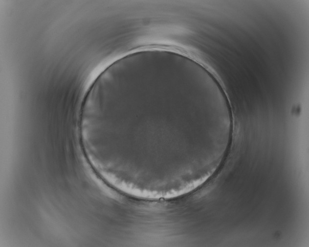 X0000112201533200909041305