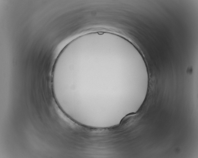 X0000112201535200909041305