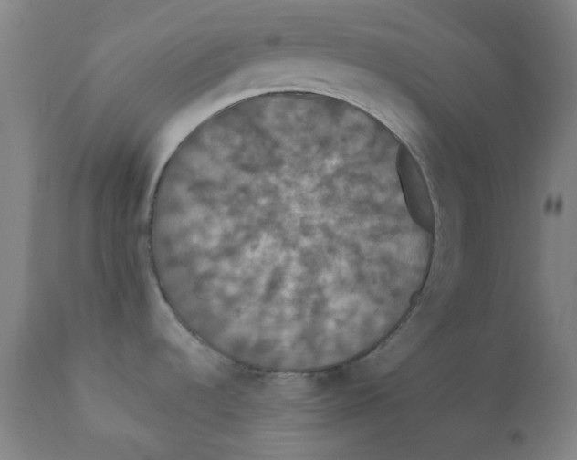 X0000112201536200909041305
