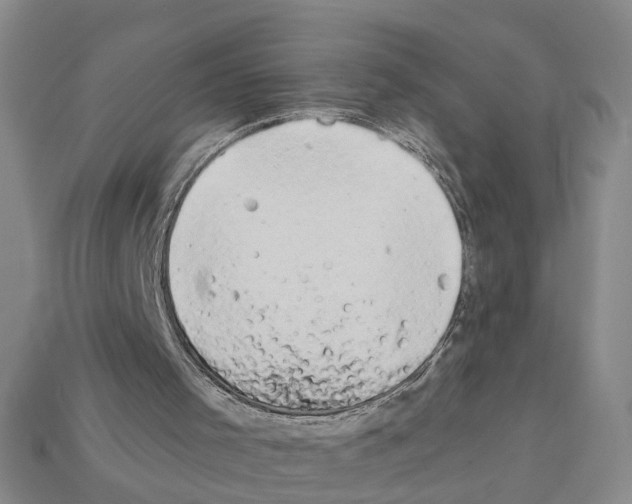 X0000112200001200909181543
