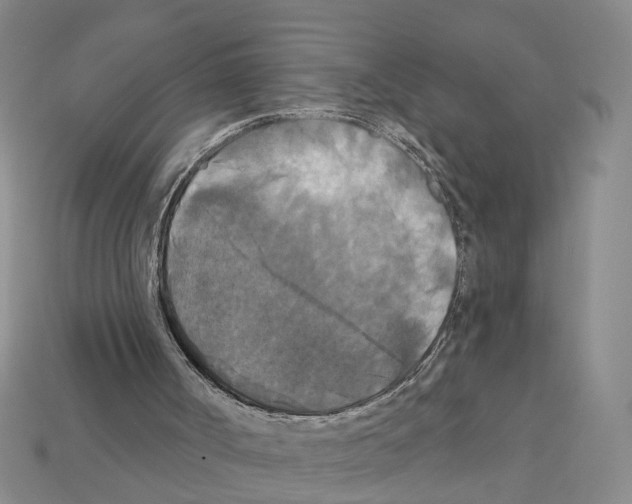 X0000112200002200909181543
