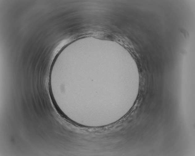 X0000112200003200909181543