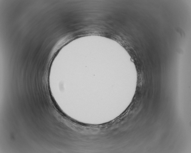 X0000112200004200909181543