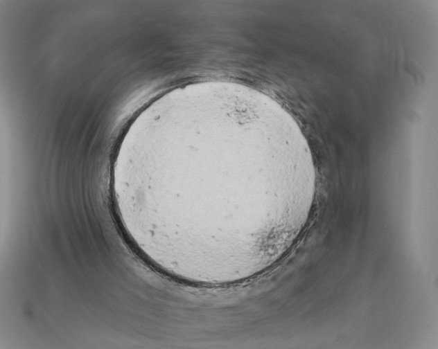 X0000112200005200909181543