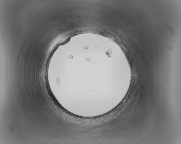X0000112200006200909181543