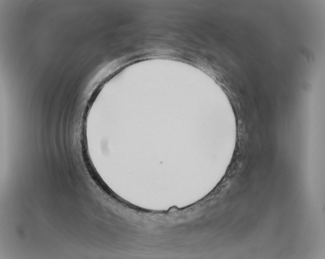 X0000112200007200909181543
