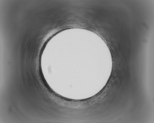 X0000112200008200909181543