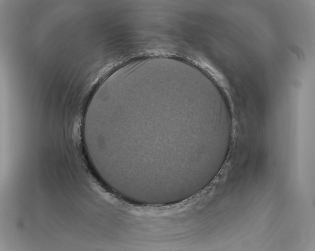 X0000112200009200909181543