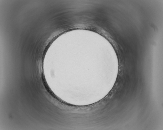 X0000112200011200909181543