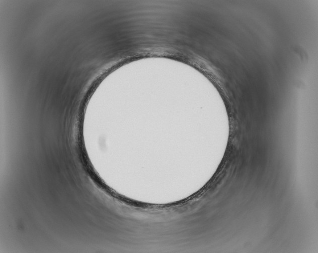 X0000112200012200909181543