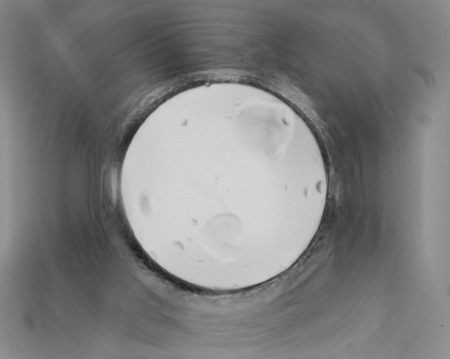 X0000112200013200909181543
