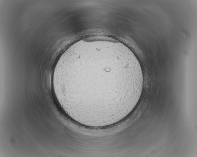 X0000112200014200909181543