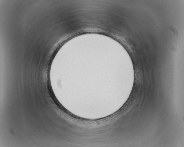 X0000112200015200909181543
