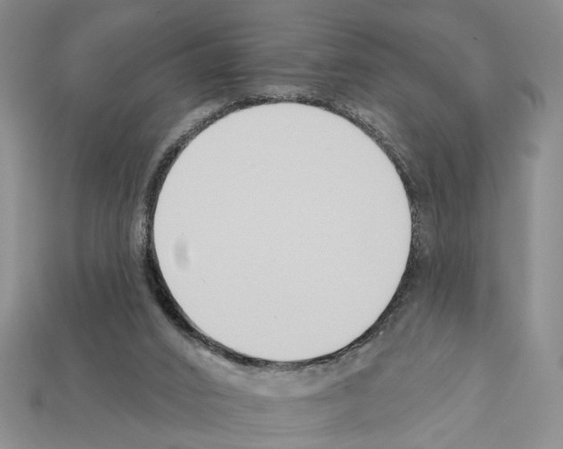 X0000112200016200909181543