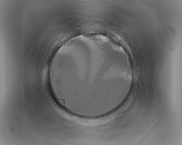 X0000112200018200909181543