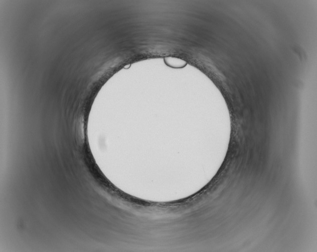 X0000112200020200909181543