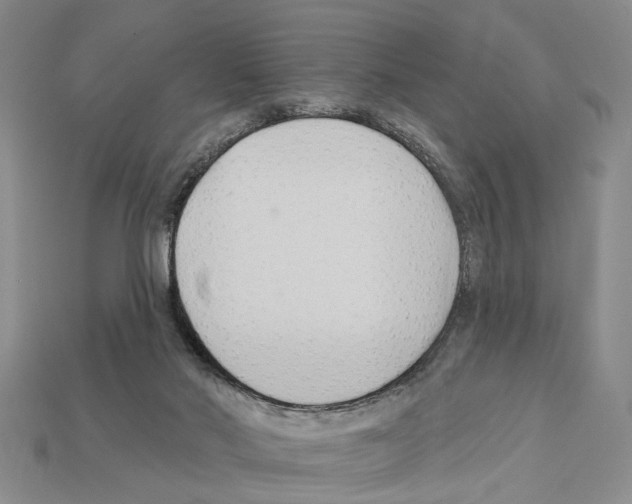 X0000112200022200909181543