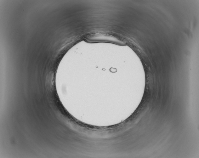 X0000112200024200909181543