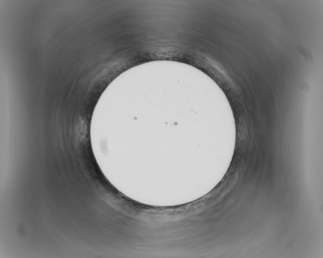 X0000112200025200909181542