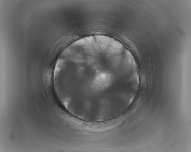 X0000112200026200909181542