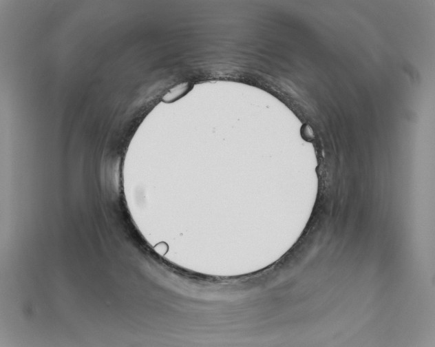 X0000112200028200909181542