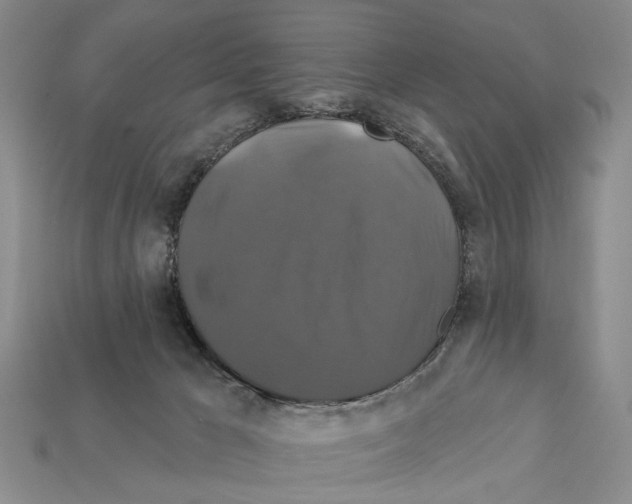 X0000112200029200909181542