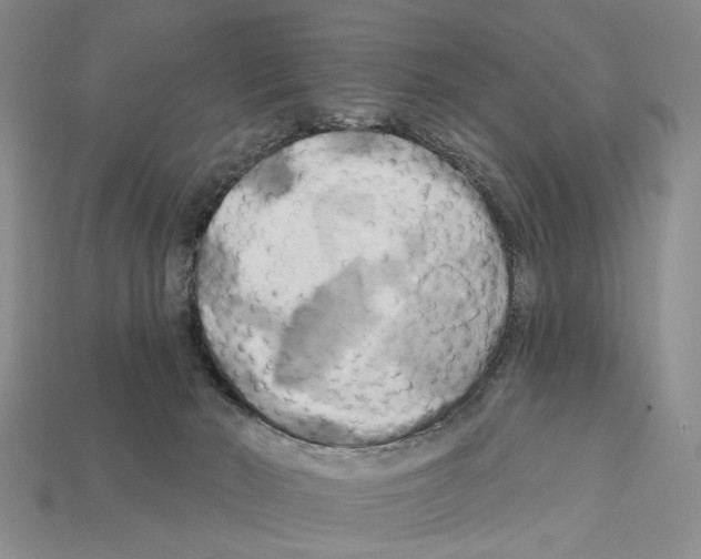 X0000112200030200909181542