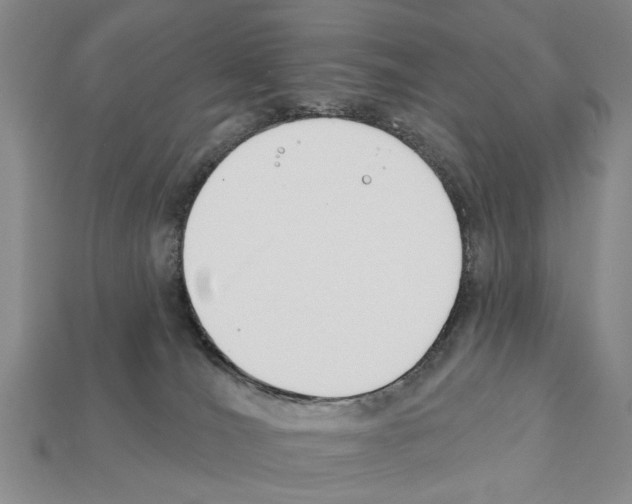 X0000112200036200909181542