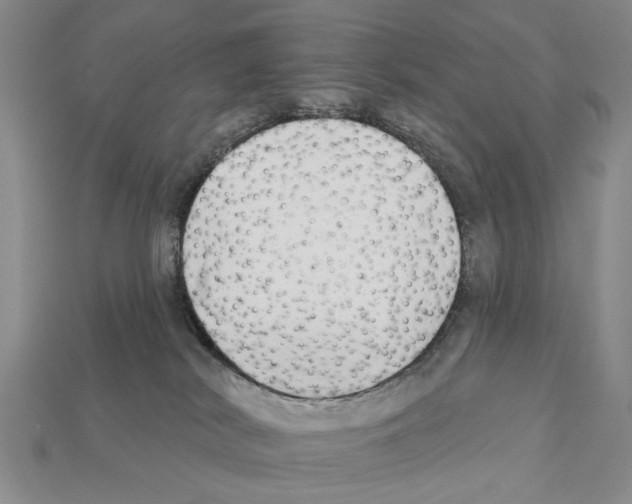 X0000112200038200909181542