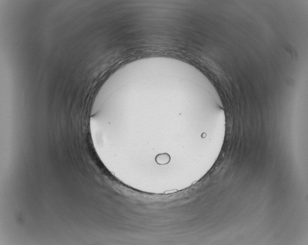 X0000112200039200909181542