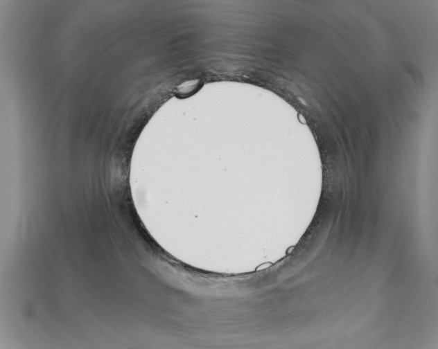 X0000112200040200909181542