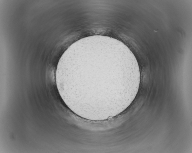 X0000112200042200909181542