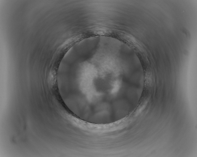 X0000112200043200909181542