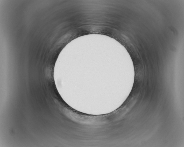 X0000112200044200909181542