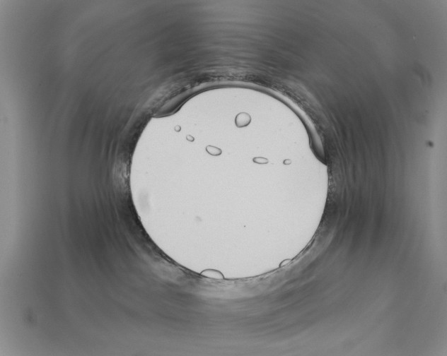 X0000112200045200909181542