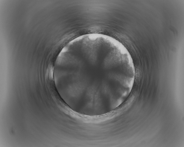 X0000112200046200909181542
