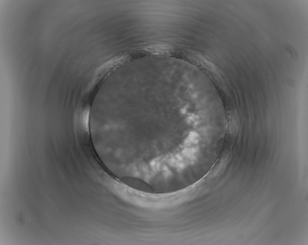 X0000112200047200909181542