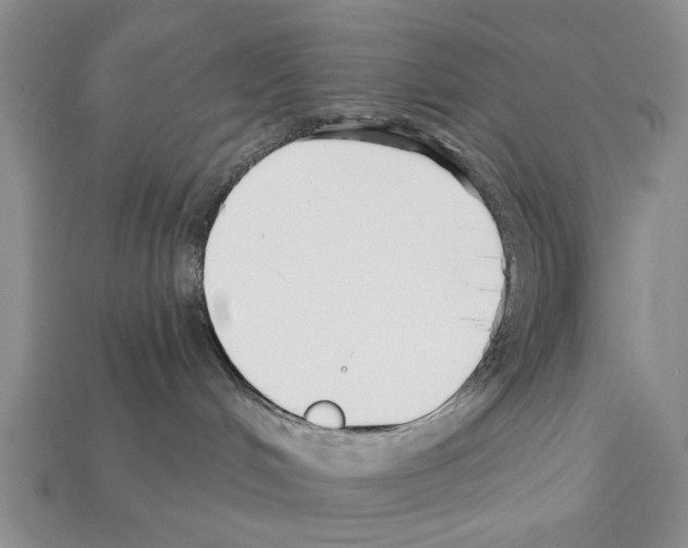 X0000112200048200909181542
