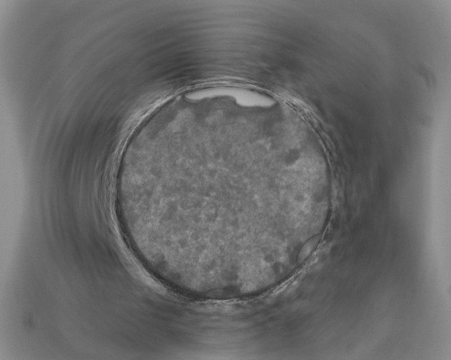 X0000112200049200909181542