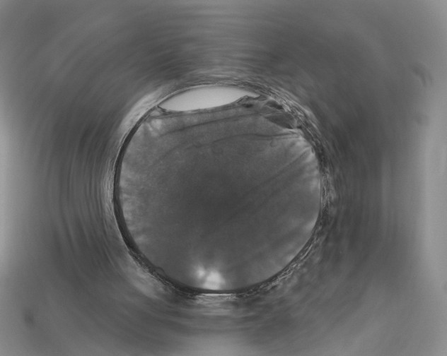 X0000112200051200909181542