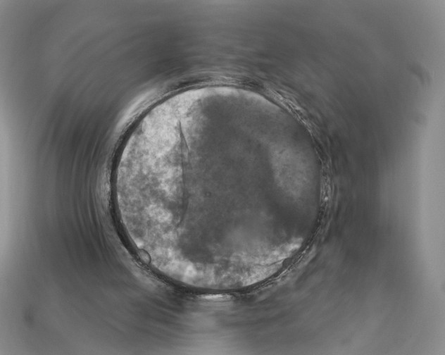X0000112200053200909181542