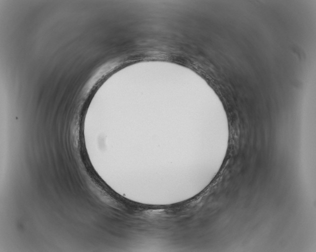 X0000112200054200909181542
