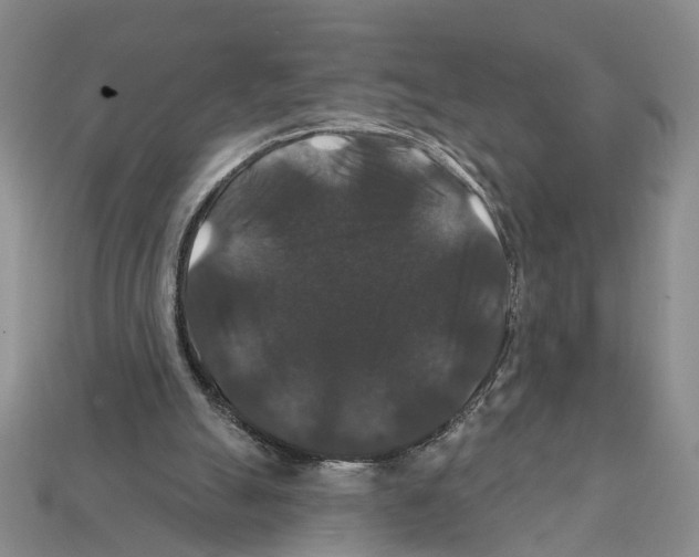 X0000112200055200909181542